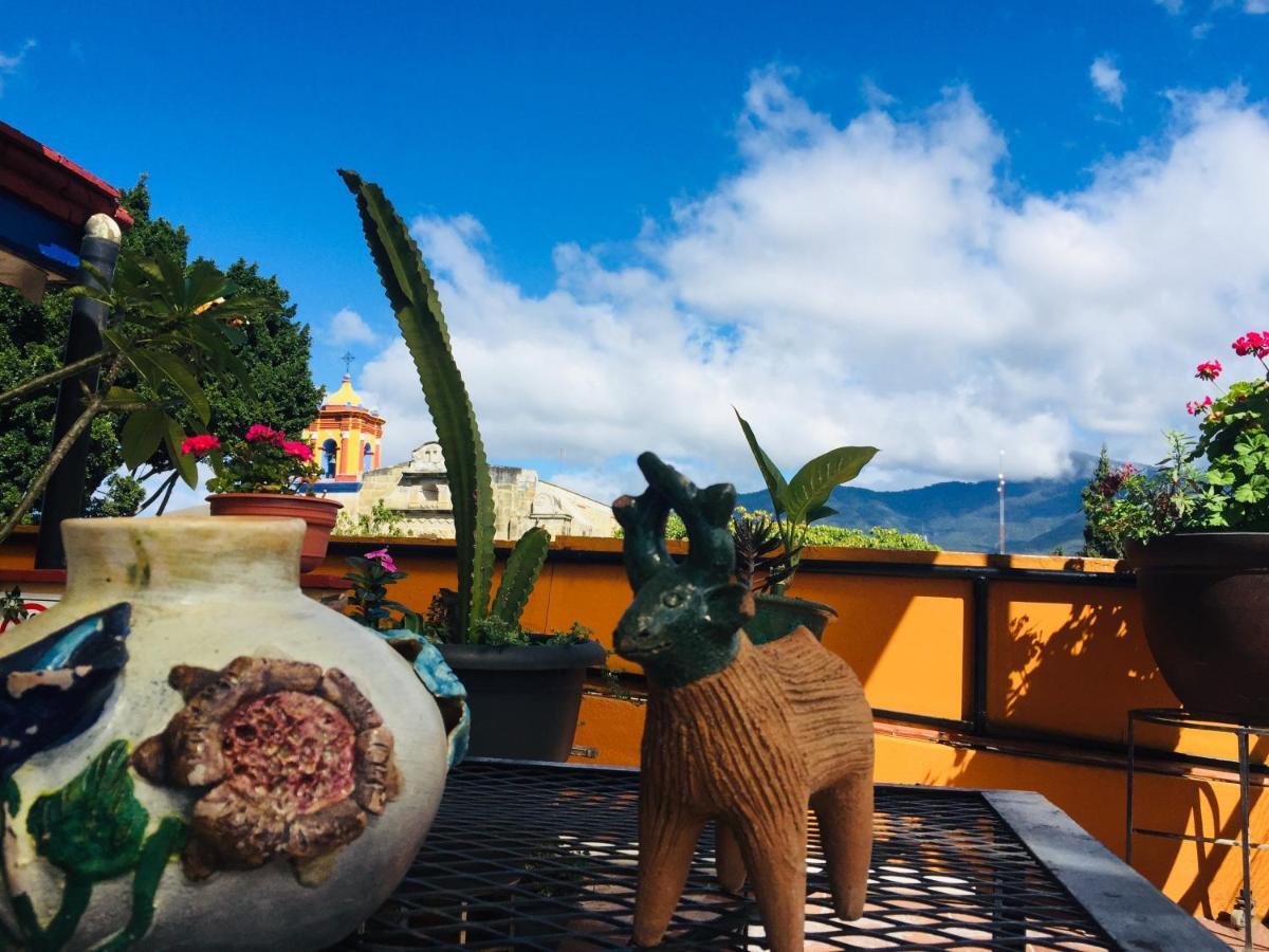 Hotel Cazomalli Oaxaca Екстериор снимка
